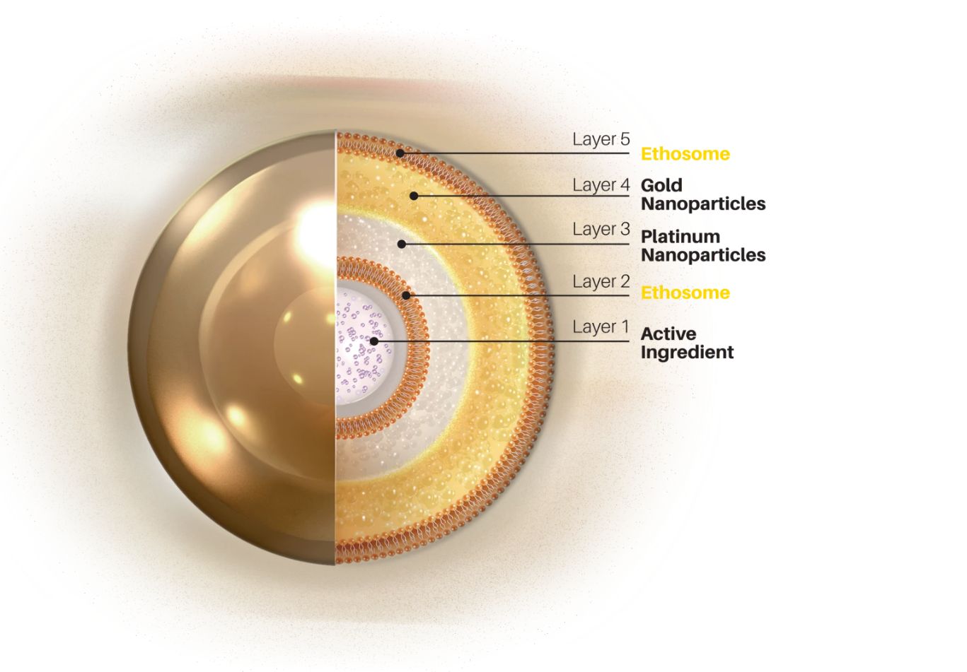 Gold PTT (Gold PhotoThermal Therapy) 2