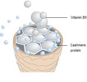 Άλλες Παθήσεις 1