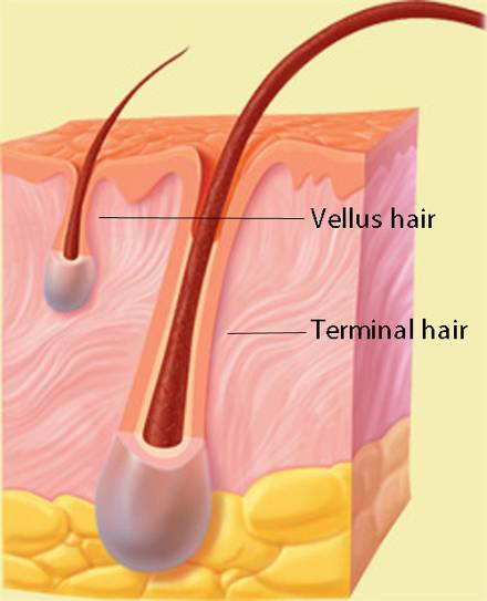 Άλλες Παθήσεις 3