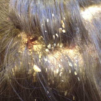 Άλλες Παθήσεις 9